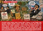Sengketa Kebun Kelapa di Enggal Rejo Berujung Laporan Pencurian, Ahli Pidana: Harus Dibuktikan Dulu Alas Haknya
