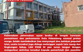 Peternakan Ayam Broiler di Tengah Pemukiman dan Perkantoran Dikeluhkan Warga, POSE RI Desak Pemkot Bertindak Tegas