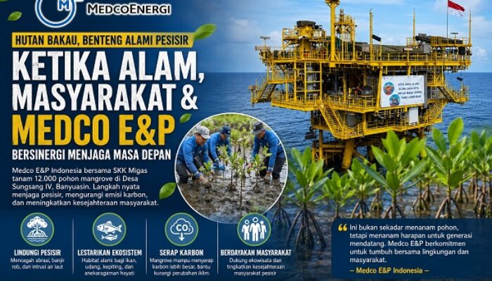 HUTAN BAKAU, BENTENG HIJAU PESISIR SUMATERA SELATAN: KETIKA ALAM, MASYARAKAT, DAN INDUSTRI BERSATU MENJAGA MASA DEPAN