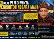 PLN Diminta Mencontoh Negara Maju, LSM Panglima Nusantara Dorong Modernisasi Jaringan Listrik untuk Kurangi Pemadaman